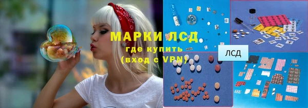 шишки Баксан