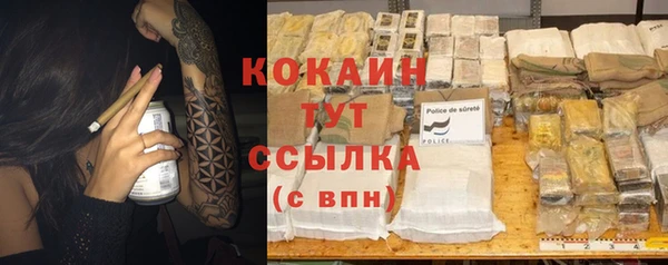 шишки Баксан