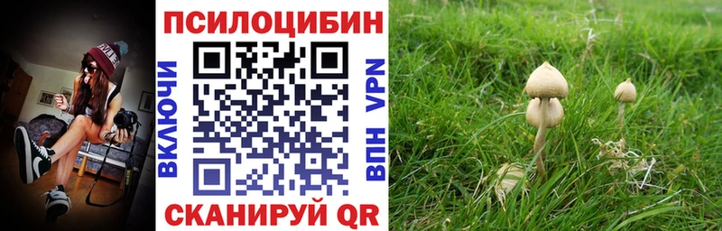 Псилоцибиновые грибы Cubensis  сайты даркнета состав  Барабинск  mega рабочий сайт 