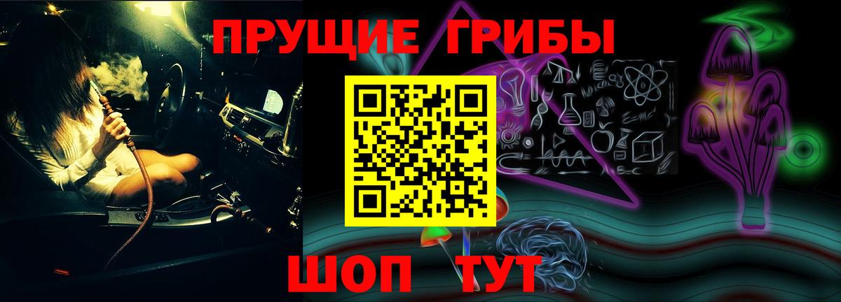 Галлюциногенные грибы Psilocybine cubensis Барабинск