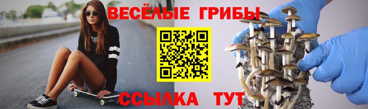 Псилоцибиновые грибы ЛСД  наркотики  Барабинск  Вход с VPN 